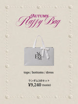 AUTUMN HAPPY BAG - その他